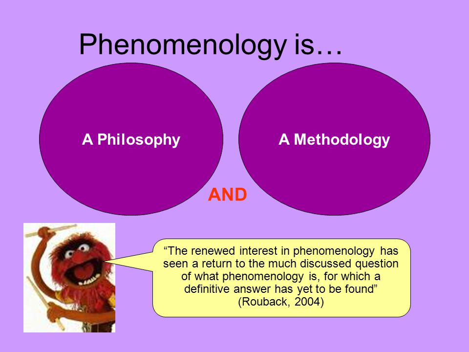 Example of Qualitative Phenomenological Study