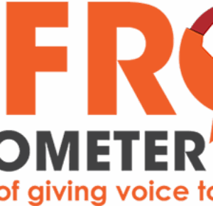 Afrobarometer Dataset