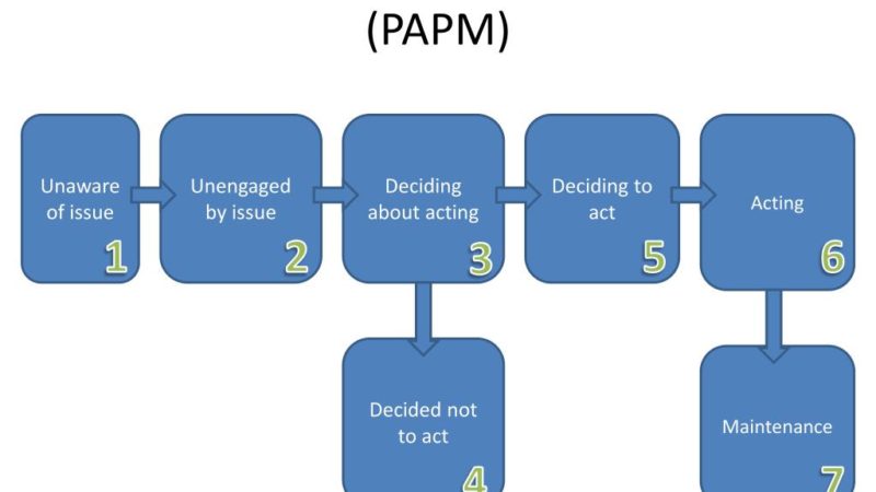 The Precaution Adoption Process Model
