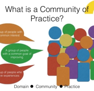 Team Environment, Leadership in Healthcare setting and What could be Communities of Practice (CoPs)